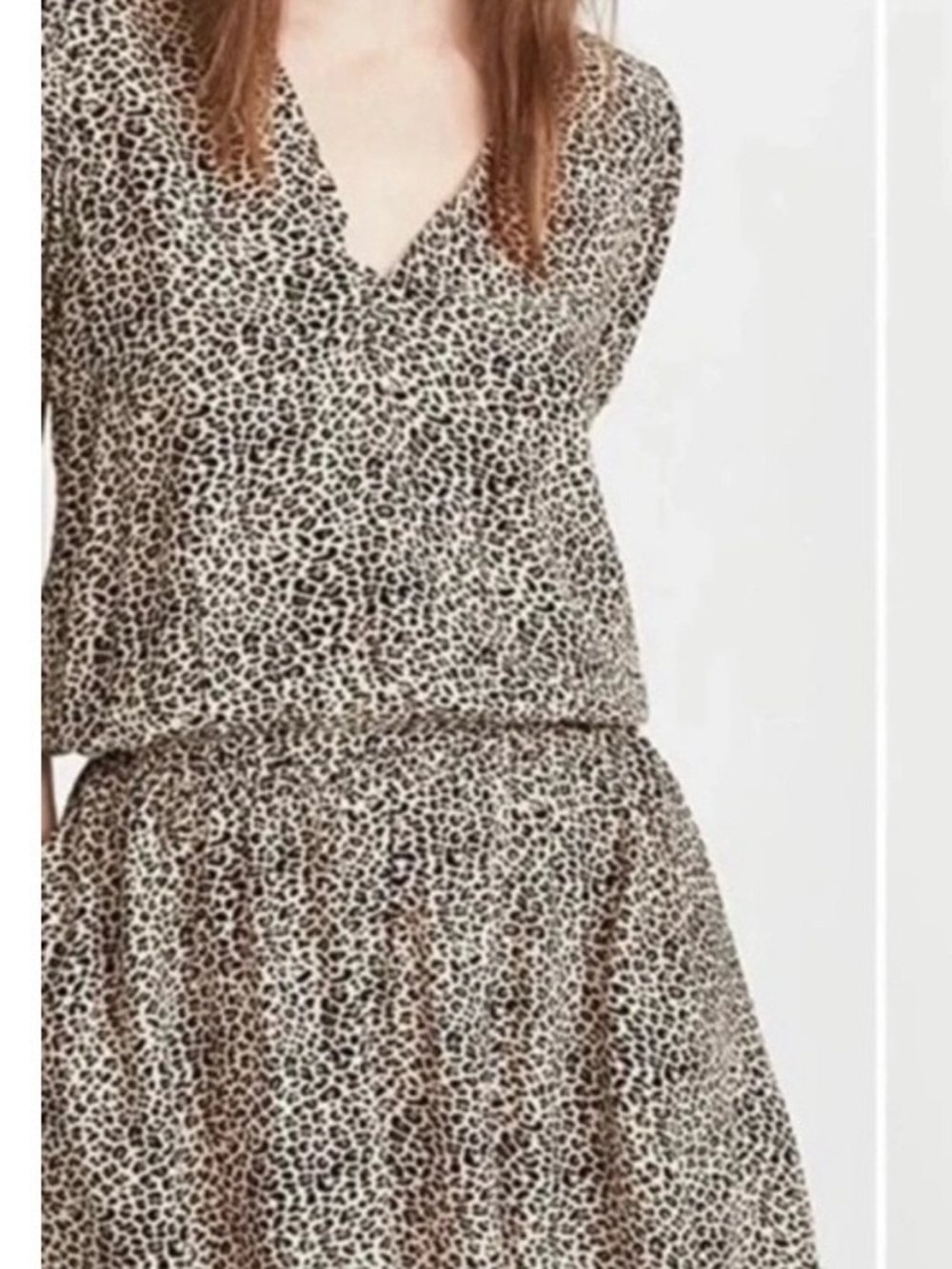 Zadig & Voltaire Leopard Print Mini Dress